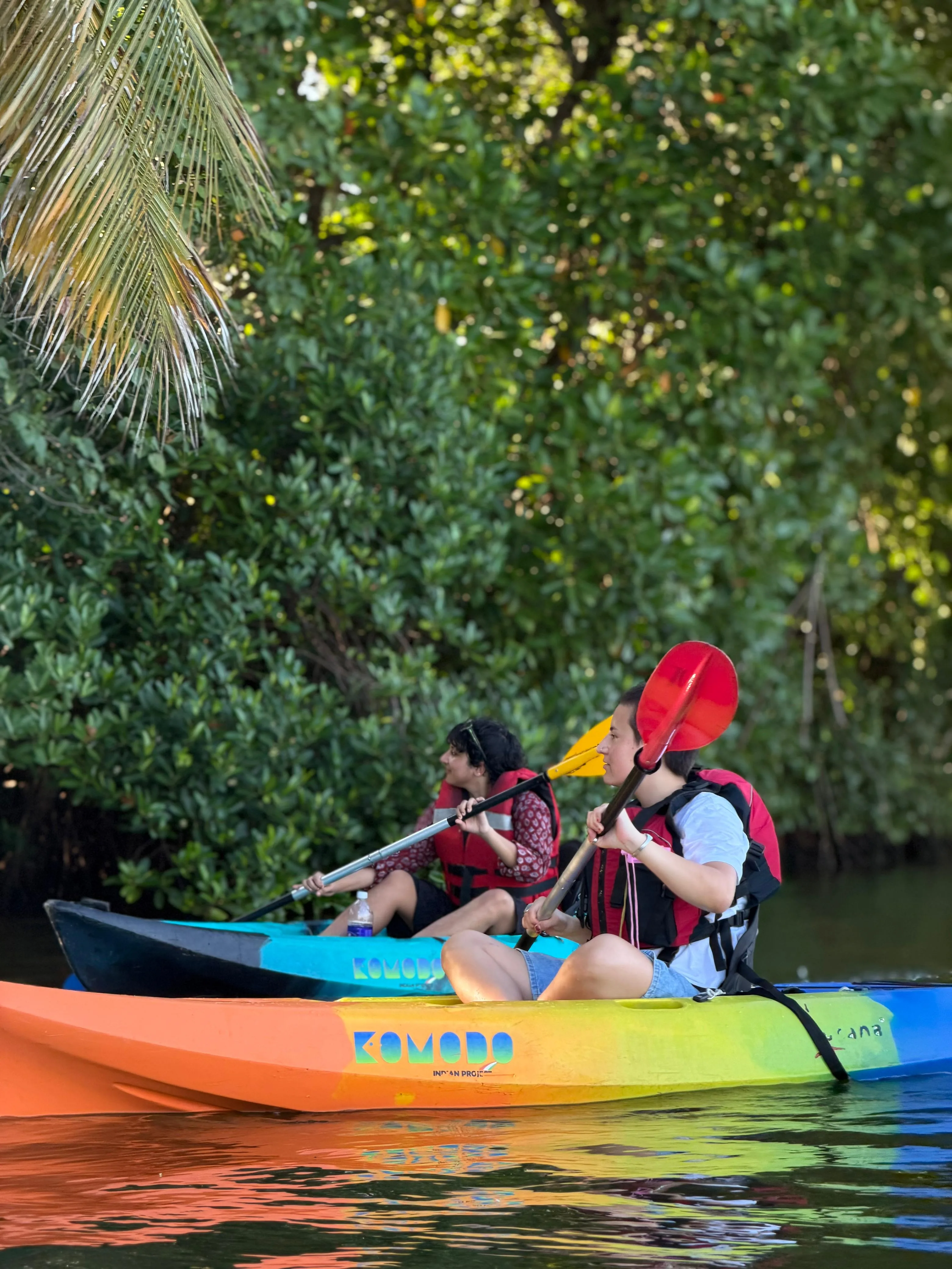Paddler in orange kayak on turquoise backwaters near mangroves